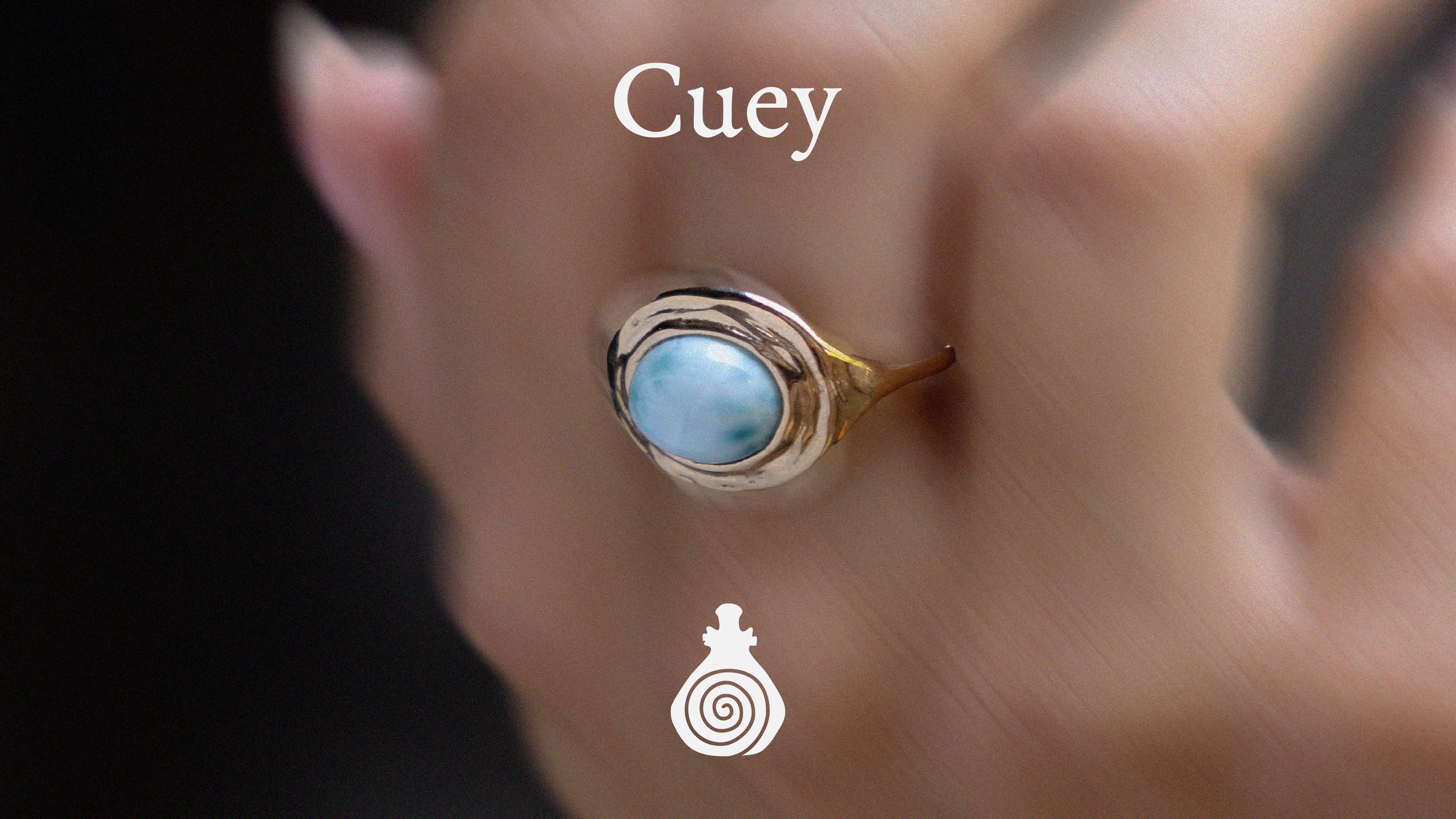 Cuey case study cover